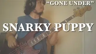 SNARKY PUPPY - Gone Under (Bass Cover)