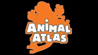 Animal Atlas: Meet the Gibbons - the Lesser Apes? (season 3, episode 1)