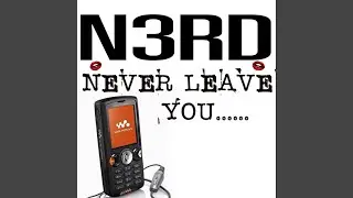 NEVER LEAVE YOU