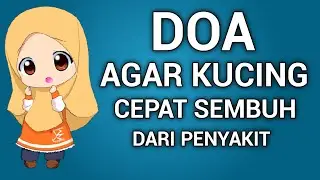 DOA AGAR KUCING CEPAT SEMBUH DARI PENYAKIT