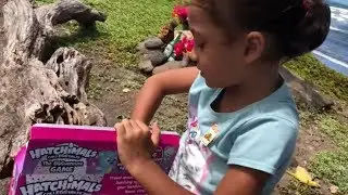 you will never Find A Better Hatchimals game