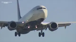 FAA cuts flight capacity amid shutdown, more than 800 cancellations nationwide