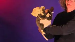 Folkmanis&reg; Pack Rat Puppet Demo