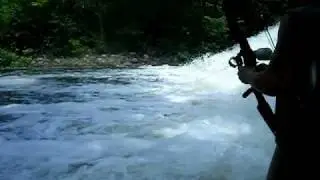 Extreme Bowfishing with Eric