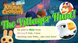Animal Crossing - The Hunt for Apollo (or Audie)
