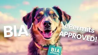 Fast Bahamas Pet Permit 2025 with BIA &ndash; Apply Now!