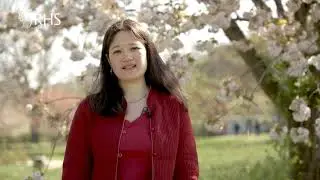 Gardening and wellbeing research with Lauriane Chalmin-Pui | Royal Horticultural Society