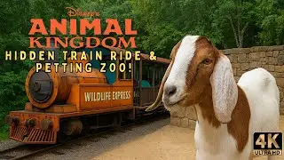 Disney&rsquo;s Animal Kingdom | FULL Conservation Building 4K Walkthrough