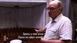 Призрак в доспехах - Фичер 