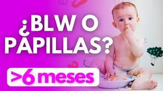 ¿BLW o PAPILLAS? 🥑 | ¿Qué VENTAJAS tiene el BABY LEAD WEANING?