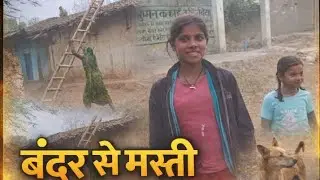 Bandar se Masti 😱😱