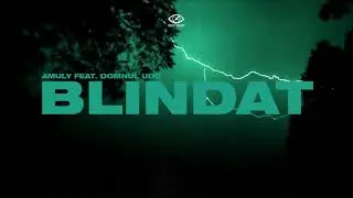 Amuly - Blindat feat. Domnul Udo (Audio)