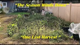 Wrapping Up the Season | Fall Garden Cleanup & Harvest in Central Connecticut