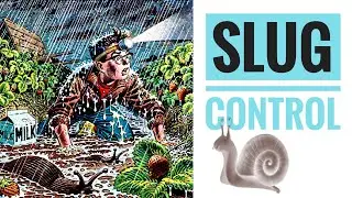 How to control Slugs and Snails in the Kitchen Garden - High Brix ? 🚩 with Kesser and Steen