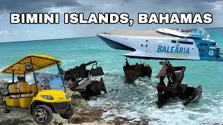 FERRY TO BIMINI, BAHAMAS VLOG// DAYTRIP TO BIMINI