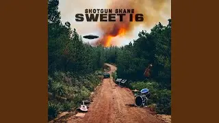 BOOM WHSTL