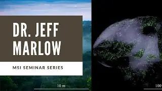 MSI Seminar Series - Dr. Jeffrey Marlow