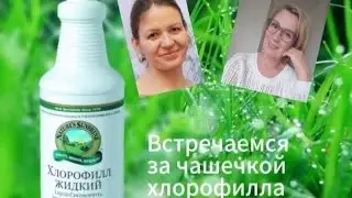 День 117. Лучший способ инвестировать в свое здоровье. #житьпоновому #nsp #нсп #хлорофилл #люцерна