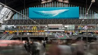 The Whale: Deutschlands gr&ouml;&szlig;ter DOOH-Screen