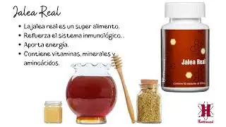 Catalogo de Suplementos Hoffmann
