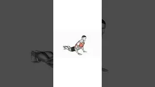 No Equipment? No Problem! 🚀 5 Reverse Dip Variations for a STRONGER Upper Body at Home
