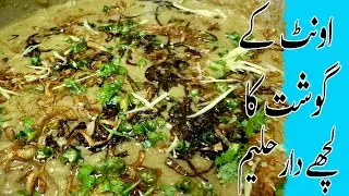 Camel Meat Haleem Recipe || Beef Haleem || Mazedar Haleem.