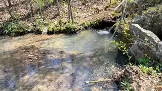 Post-Rain Property Walkthrough | Checking for Flooding After Heavy Rain