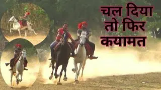 FULL CHAUTALA HORSE MUJAFARPUR EXPRESS RIDER-PONGA YADAV