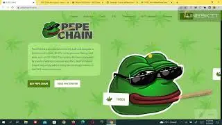 PEPE CHAIN FULL REVIEW || JOIN PINKSALE || 100% COMMUNITY DRIVEN PROJECT || EARN 100X