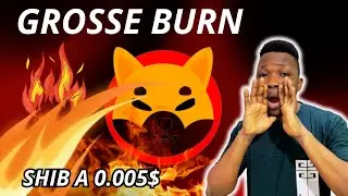 SHIBA INU TOKEN : GROSSE BURN SUR SHIB QUI PEUT PROVOQUER LE BULL DU PRIX DE SHIB