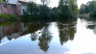 Panasonic Lumix DMC-FZ100 Video test 2 (1920x1080i, with tripod)