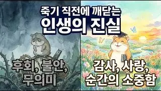 죽기 직전에 사람들이 공통적으로 깨닫는 '이것'의 정체