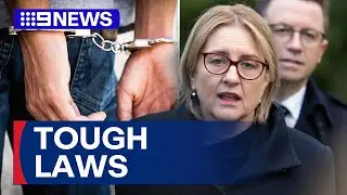 More tough bail laws introduced into Victorian parliament | 9 News Australia