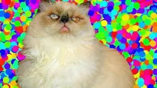 Mouchois:  Clumsy Himalayan Melvin and His Fishing Pole