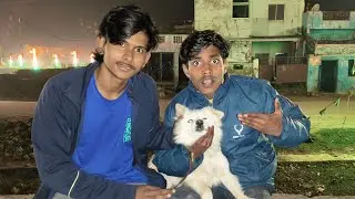 Siddarth Pet Dog Bought 🐕&zwj;🦺☺️