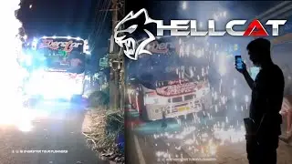 MASS ENTRY | HELL CAT | EVERSTAR TOURPLANNERS