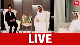 LIVE: TN CM Stalin Holding Discussion with Multinational Investors in UAE | MK Stalin Live in Dubai