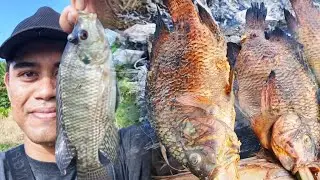MANCING MUJAIR BERSAMA ISTRI, LANJUT MALAMNYA MANCING SIDAT, BESOKNYA BAKAR IKAN DI PINGGIR SAWAH