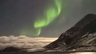 Arctic1