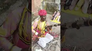 jaipur traditional music