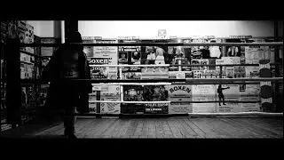 Auer - Offizieller Trailer