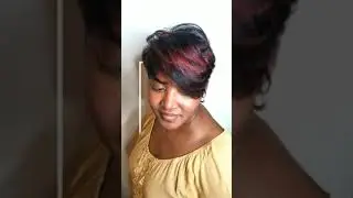 Kelly Cut Chicago Style