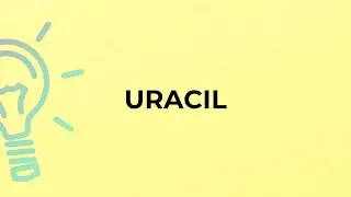 What is the meaning of the word URACIL?