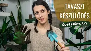 Tavaszi készülődés » Ültessünk át 3 szobanövényt