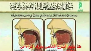 ثالثا : مخارج اللسان ج ( 4) وفيه مخرج الراء مع صفة التكرير - برنامج الاتقان لتلاوة القران