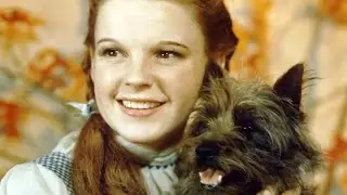 The Wizard Of Oz Actors Who Got Paid Less Than Toto