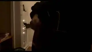 Cover of When I Go by the Wild Reeds