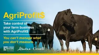 Farm Income Statement