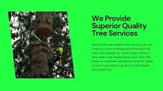 Top Rated Tree Service Provider in York, PA | Oath Keepers Tree Care