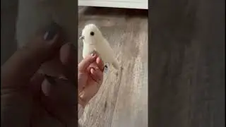 Jellycat Birdling Dove